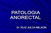 T08 a patologia anorectal