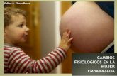 Fisiologia del embarazo. cambios grales. y locales