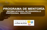 Enlace Ciudadano Nro 210 tema:  programa de mentoría