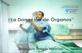 La donación de órganos