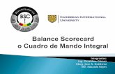 Balance ScoreCard