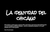 Chicanos-Estudios Culturales