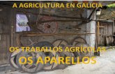 Aagriculturaengaliza traballos-141120124354-conversion-gate01
