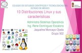 9. 10 distribuciones linux y sus caracteristicas
