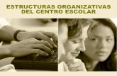 Estructura Organizativa Centros Escolares
