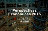 Perspectivas Economía Chilena 2015