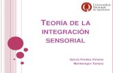 Teoría de la integración sensorial