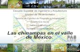 Expo chinampas
