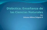 Didáctica enseñanza de las ciencias naturales