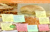 Infografia Cereales integrales: tipos de pan