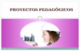 Proyectos pedagogicos parte 2