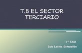 T8. Sector terciario
