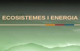 Ecosistemes i energia