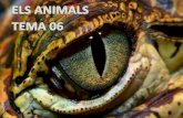 Tema 06   els animals