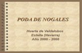 Poda Nogales huerta 2008
