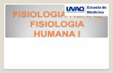 Fisiologia renal 2