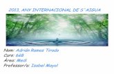 2013, ANY INTERNACIONAL DE L'AIGUA