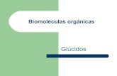 Biomoléculas orgánicas: Glúcidos