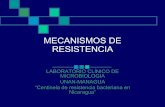 Mecanismos de resistencia labmicro