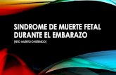 Sindrome de muerte fetal durante el embarazo (ovito fetal)