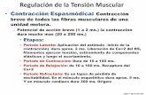 5.regulación de la tensión muscular