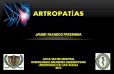 Artropatias en imagenes