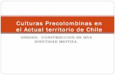 Pueblos precolombinos chilenos(2)