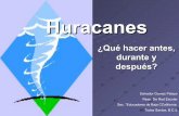 Huracanes demasi