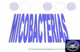34. micobacterias actinomices