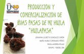 Producción y Comercialización de Uvas Pasas de mi Huila - HuilaPasa