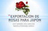 Exportacion de rosas para japon