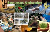 2.08 presentación recursos naturales