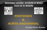 Peritoneo y aorta abdominal