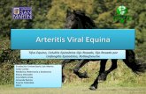 Arteritis viral equina