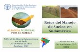 Retos del manejo de suelos en Sudamérica - Gustavo Bernal