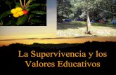 La Supervivencia en a Naturaleza como medio de educación en valores