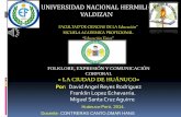 Universidad nacional hermilio valdizan-la ciudad de huànuco-perù