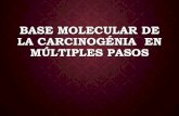 Base molecular de la carcinogénia  en múltiples pasos