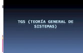 Que es la tgs(teoría general de sistemas)