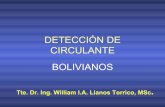 Detección de Bolivianos