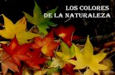 Los colores de la naturaleza
