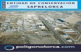 Revista entidad conservación p.i. saprelorca junio 2014