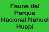 Fauna del parque nacional nahuel huapi