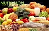 Nutricion:su significado,en que consiste, y que se necesita para tener una buena nuticion