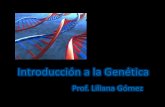 Introduccion biol mol y genetica