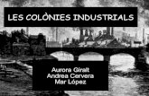 Colonia industrial