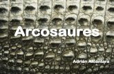 Arcosaures biodiversitat adrian_alcantara