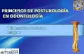 Introducción a la posturología