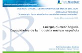 Energía nuclear segura. Capacidades de la industria española.