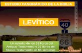 P1 Estudio Panorámico de la Biblia: Levítico